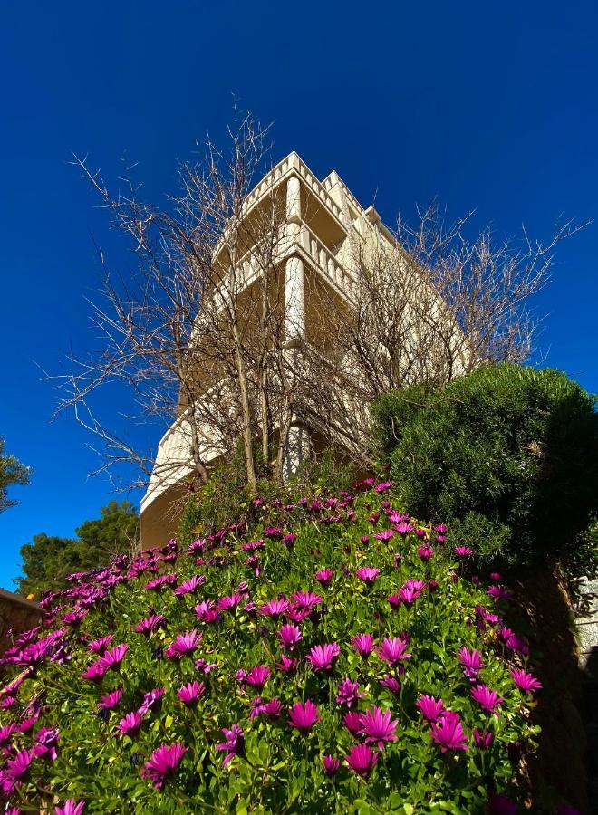 بول Hotel Villa Dzamonja المظهر الخارجي الصورة