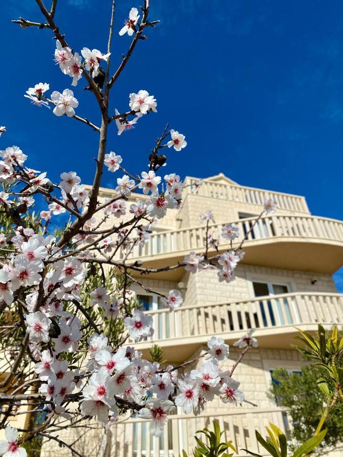 بول Hotel Villa Dzamonja المظهر الخارجي الصورة